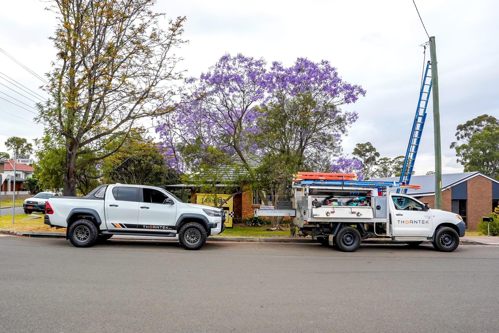 Thorntek ute and service truck parked under a flowering jacaranda