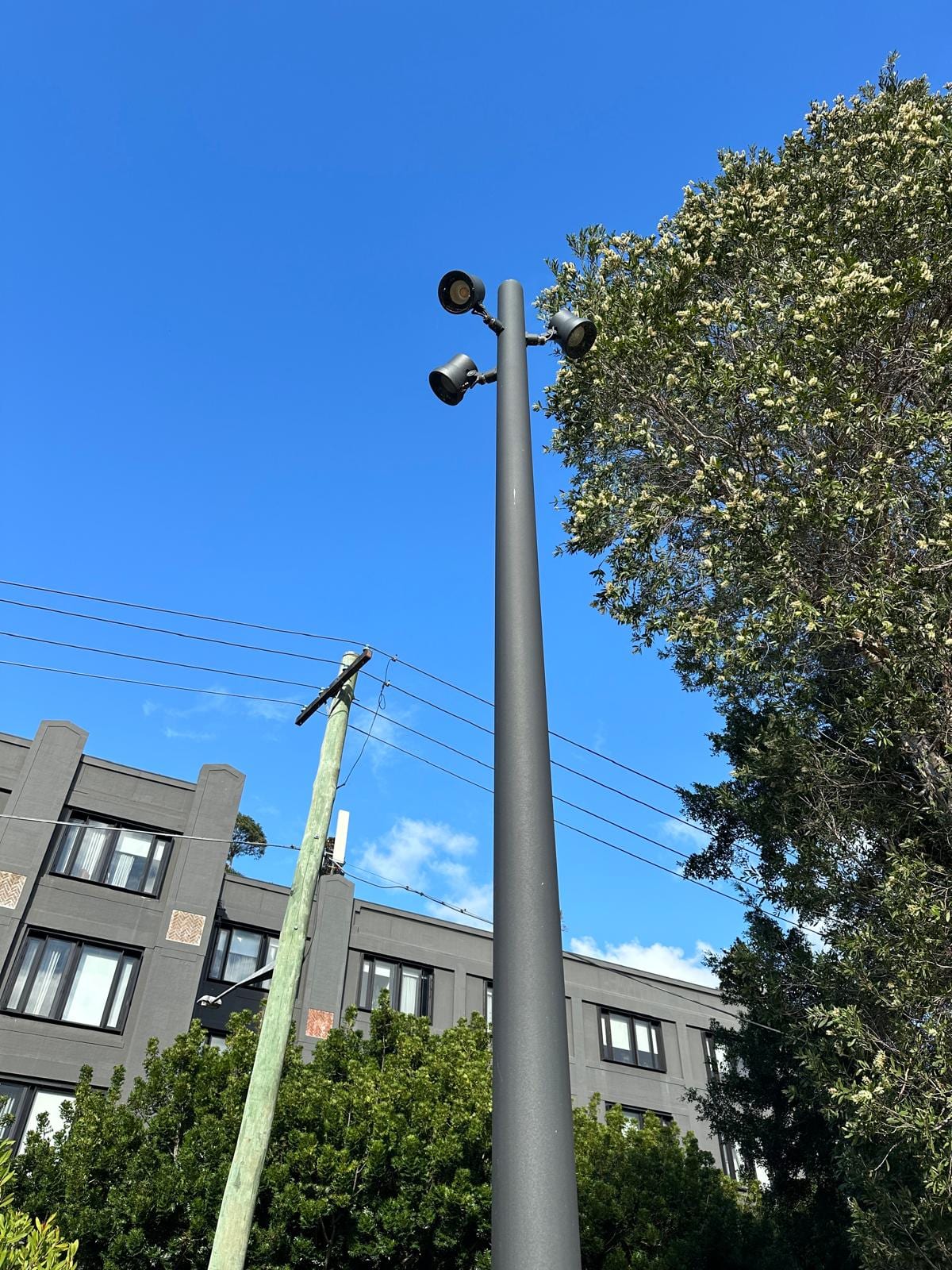 Pathway lighting pole with dual heads installed by Thorntek at North Rosebery Park